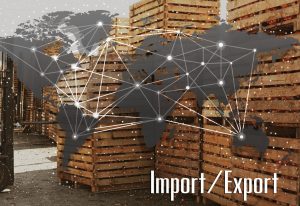 import export services