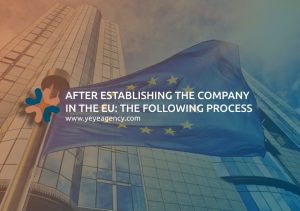 After Establishing the Company in the EU: The Following Process